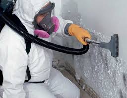 Best Crawl Space Mold Remediation  in Paisley, FL